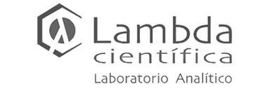 Lambda Logo